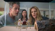 Santa Clarita Diet (Image via Netflix)